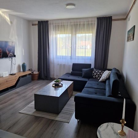 Rooms & Apartment Milan Saborsko Esterno foto